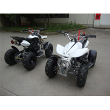 49cc Mini ATV for Kids